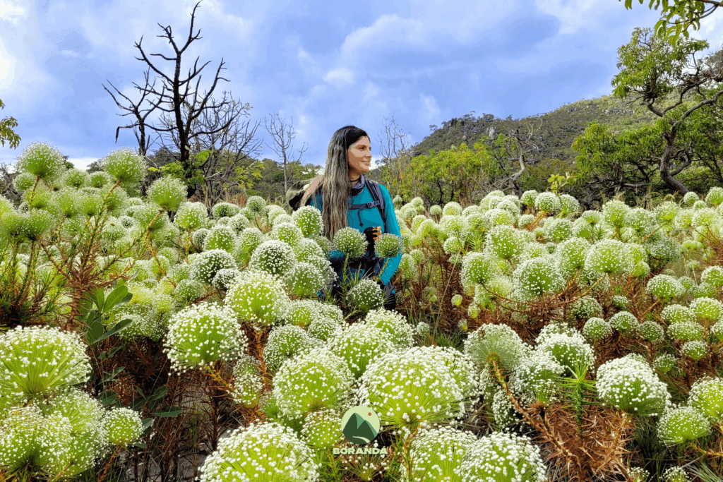 Travessia Curimataí a Santa Barbara (2)