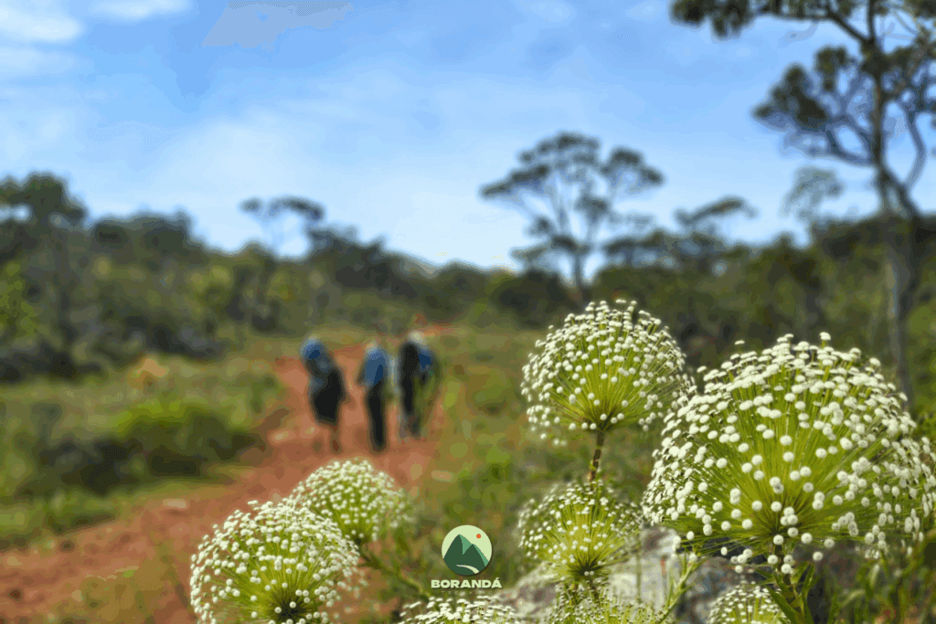 Travessia Curimataí a Santa Barbara (5)