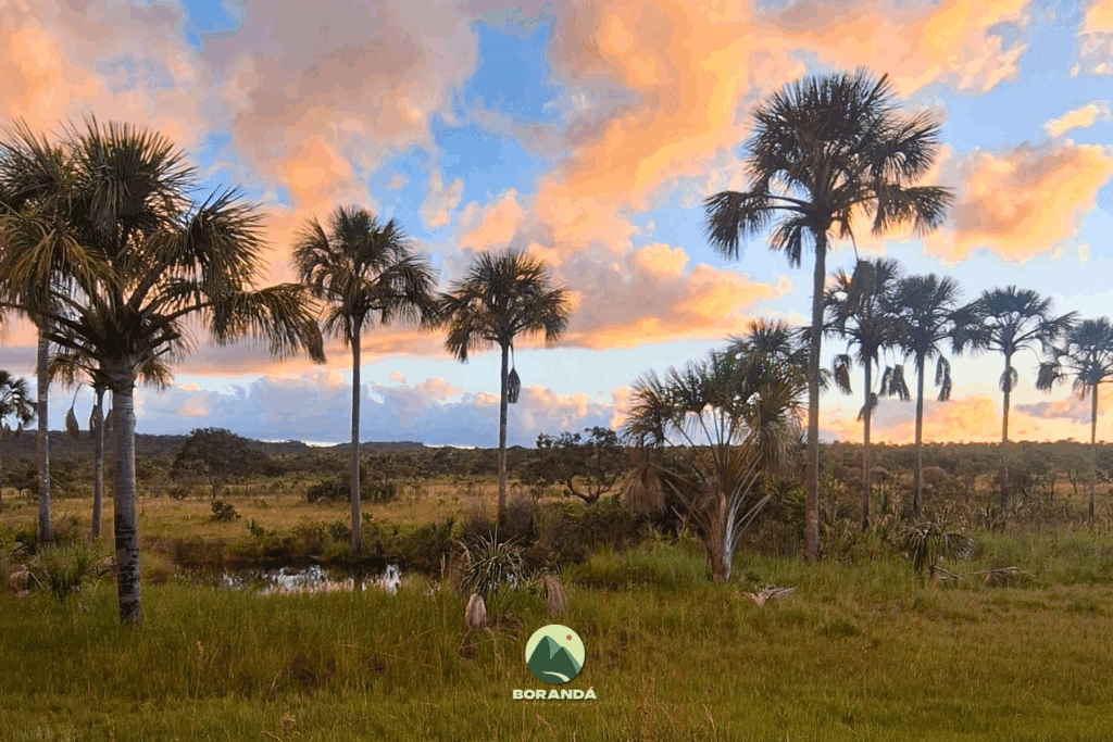 Travessia Curimataí a Santa Barbara (7)