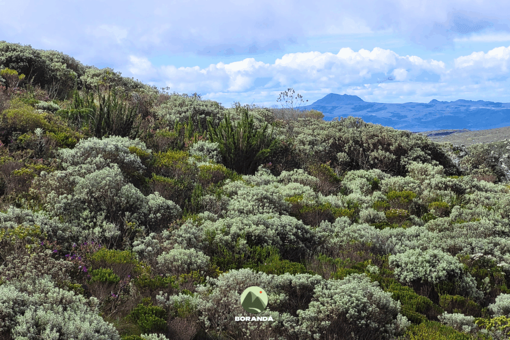 Travessia PEPI ao PERP