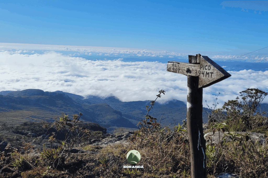 Travessia PEPI ao PERP (18)