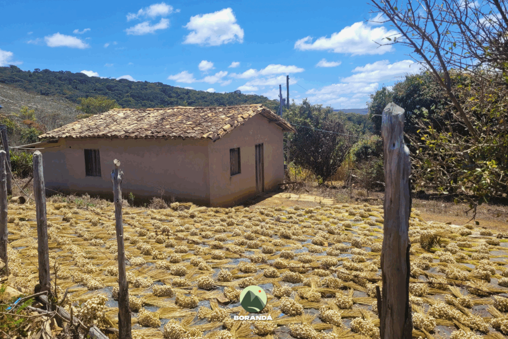 Extrema a Fechados (4)