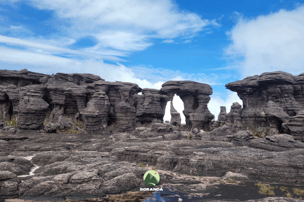 Monte Roraima (13)