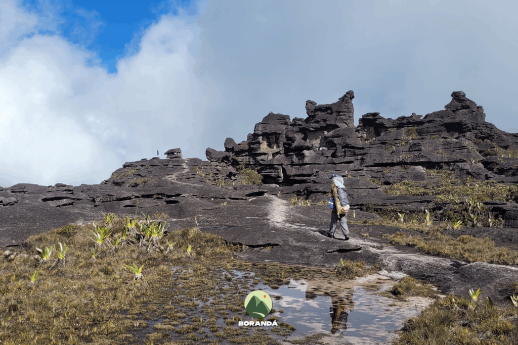 Monte Roraima (14)