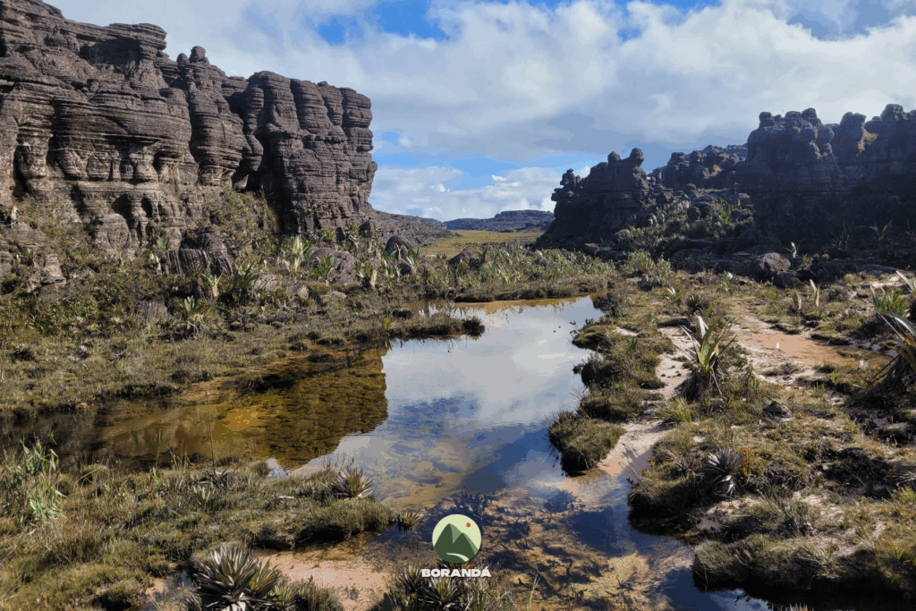 Monte Roraima (15)