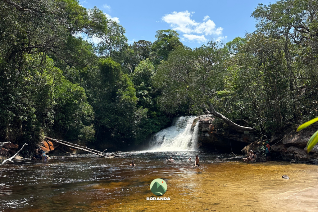 Amazônia (10)