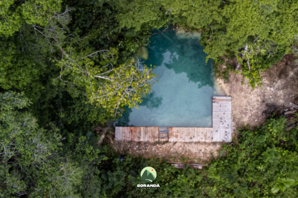 Amazônia
