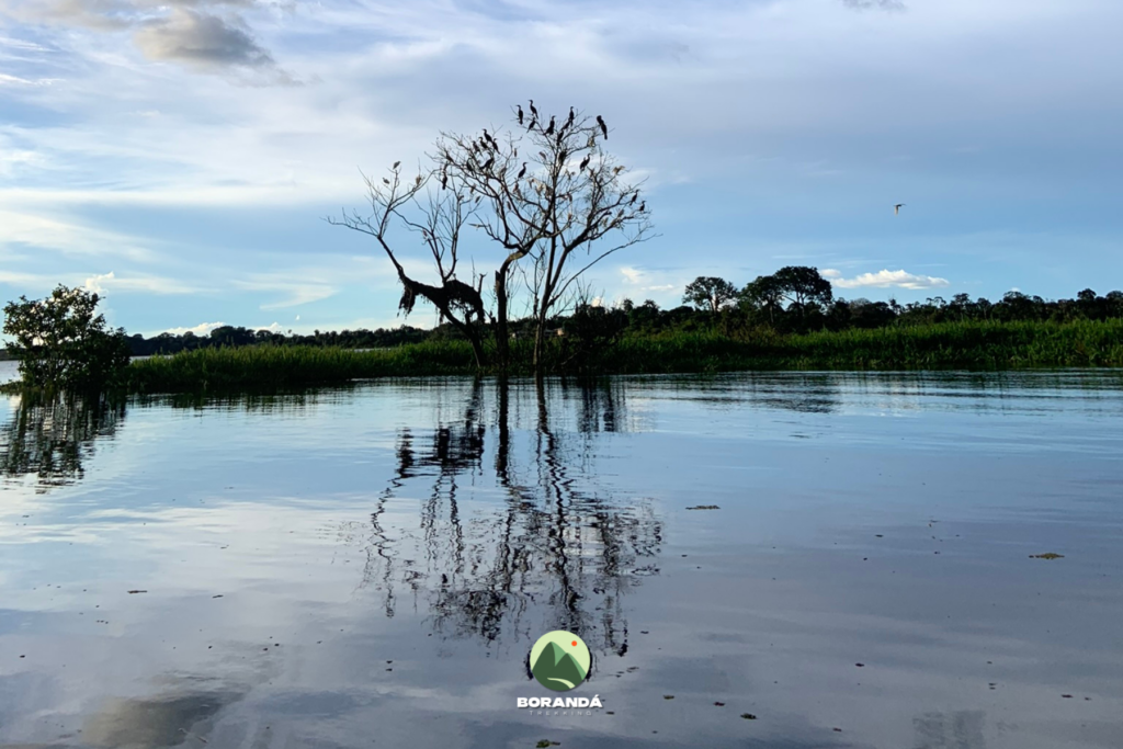 Amazônia (12)