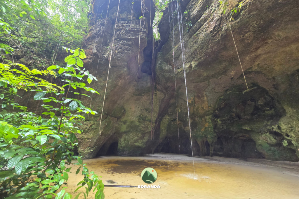 Amazônia (3)