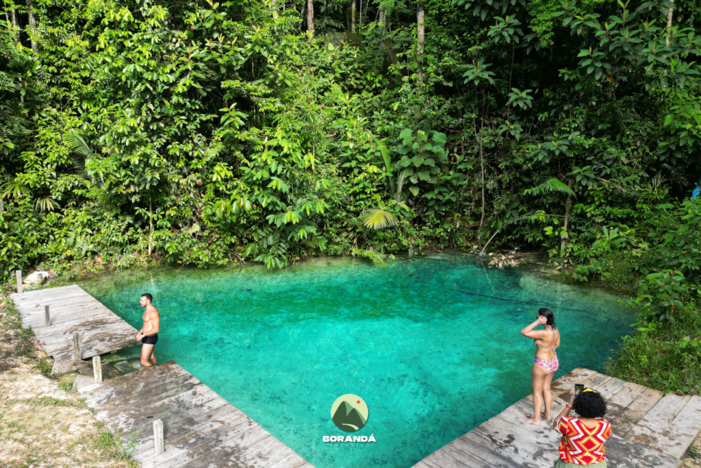 Amazônia (4)