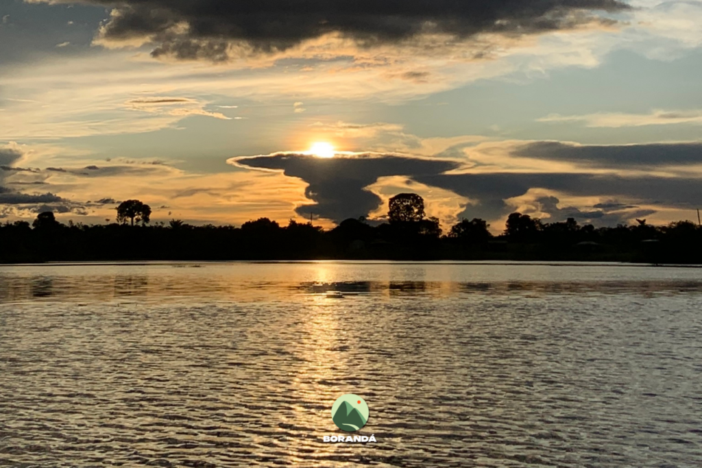 Amazônia (6)