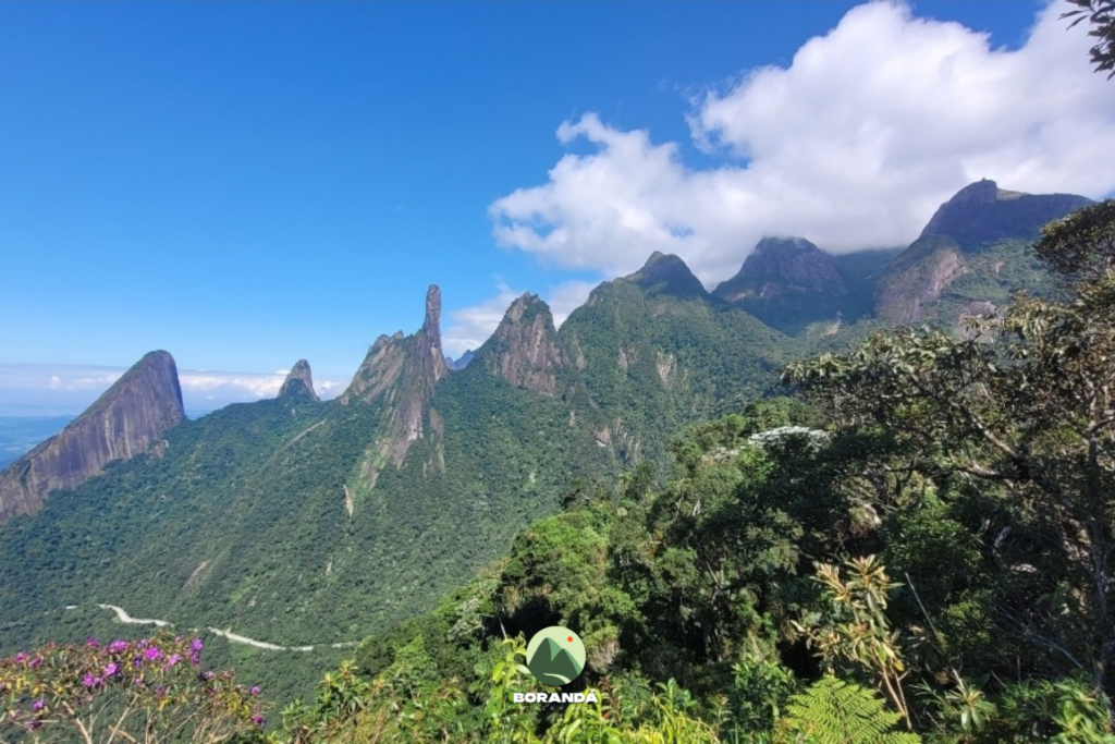 Escalavrado (3)