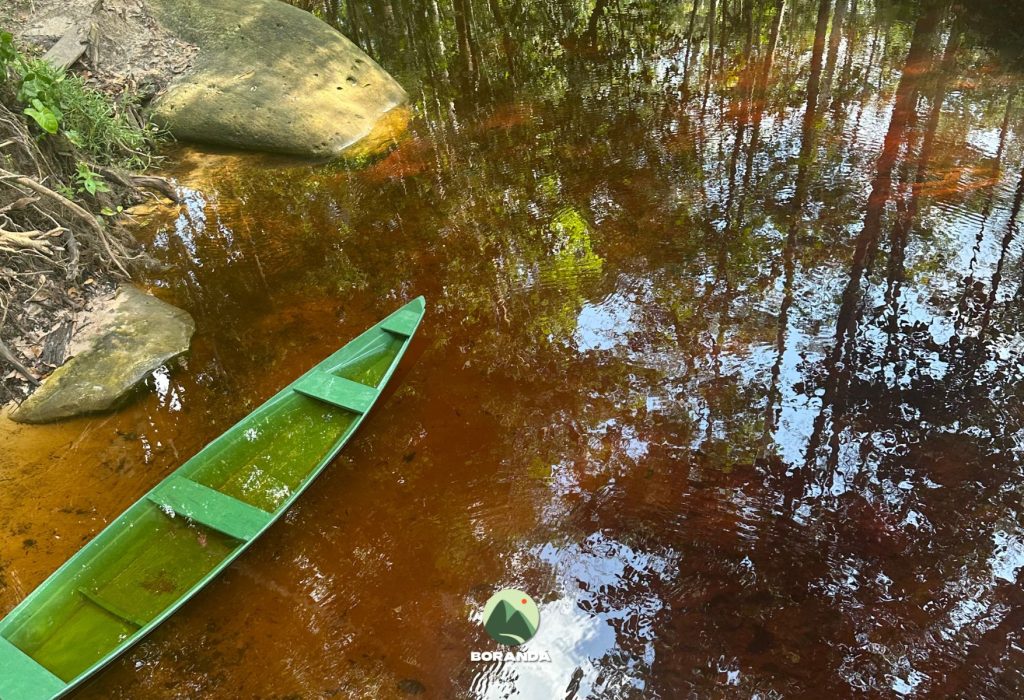 Amazônia